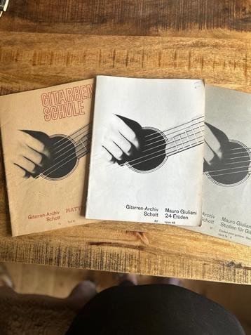 Bladmuziek Gitaarstudie Mauro Giuliani (1781-1828) beschikbaar voor biedingen