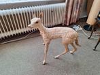 Hertje taxidermie, Antiek en Kunst, Curiosa en Brocante, Ophalen