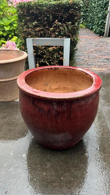 Geglazuurde stenen bloempot beschikbaar voor biedingen