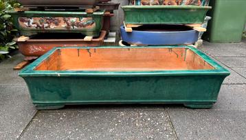 Bonsai schaal XXXL groen geglazuurd aardewerk 91x50x20 beschikbaar voor biedingen
