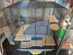Knaagdierenkooi, Kooi, Gebruikt, Minder dan 75 cm, Ophalen