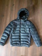 izgst! Cars Jeans winterjas jongen maat 14/164 donkerblauw, Ophalen of Verzenden, Zo goed als nieuw, Cars jeans, Jongen