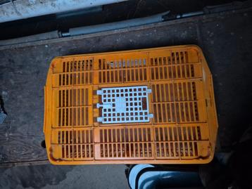 Caviabakken voor vervoer beschikbaar voor biedingen