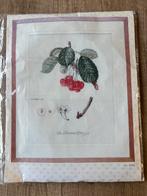 Borduurpakket Kers Thea Gouverneur, Ophalen of Verzenden, Nieuw, Borduurpakket