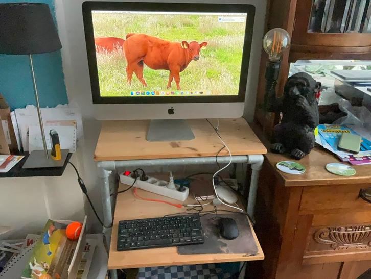 Apple iMac 21.5 bj 2011, Computers en Software, Apple Desktops, iMac, HDD, 2 tot 3 Ghz, 4 GB, Ophalen