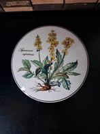 Villeroy & Boch. Botanica. Deksel doosje, Ophalen of Verzenden, Zo goed als nieuw, Porselein, Bord of Schaal