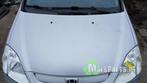Motorkap van een Honda Civic, Honda, Gebruikt, -, -