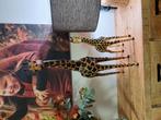 Giraffe leer groot, Tickets en Kaartjes, Eén persoon