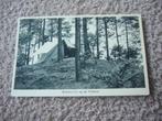 VELUWE  >  KAMPEREN OP DE VELUWE, Verzenden, 1940 tot 1960, Ongelopen, Gelderland