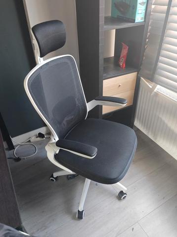 Ergonomic desk chair  beschikbaar voor biedingen