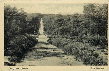 (381-077-013) Apeldoorn Berg en Bosch beschikbaar voor biedingen