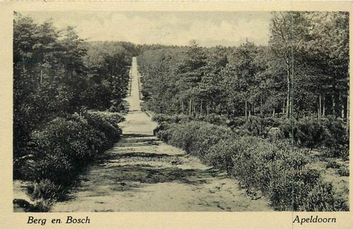 (381-077-013) Apeldoorn Berg en Bosch, Verzamelen, Ansichtkaarten | Nederland, Gelderland, Verzenden