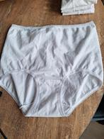 Witte Sloggi slip nieuw maat 40,42, Sloggi, Ophalen of Verzenden, Wit, Slip