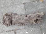 Aquarium hout, Ophalen of Verzenden, Zo goed als nieuw, Plant(en), Steen of Hout