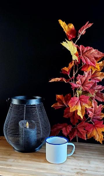 Emaille beker wit met blauwe rand NO 11 beschikbaar voor biedingen