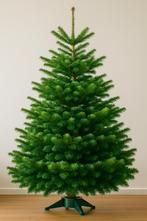 Echte kerstboom 155–175cm – bezorgd & geplaatst in Amsterdam, Ophalen, Nieuw