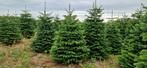Nordmann Kerstbomen rechtstreeks uit Denemarken, Ophalen of Verzenden, Volle zon, Overige soorten