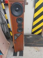T+A Criterion T120 luidsprekers, Audio, Tv en Foto, Gebruikt, 120 watt of meer, Front, Rear of Stereo speakers, Ophalen