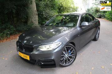 BMW 2-serie Coupé M235i Executive 380PK Harman/Kardon Navi  beschikbaar voor biedingen
