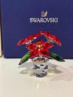 Swarovski kerstster bloem, Verzamelen, Swarovski, Ophalen of Verzenden, Zo goed als nieuw, Figuurtje