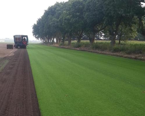 Graszoden Top Kwaliteit  groenste Van het Oosten, Tuin en Terras, Gras en Kunstgras, Nieuw, 20 m² of meer, Ophalen