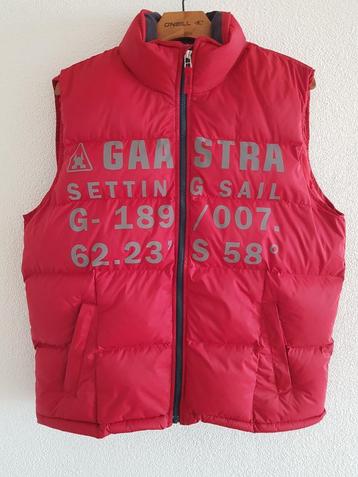 GAASTRA BODYWARMER XL beschikbaar voor biedingen