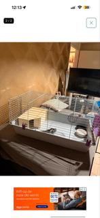 Konijnenkooi met toehoren, Ophalen, 75 tot 110 cm, Kooi, Minder dan 60 cm