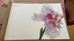 Pirelli Kalender 2004, Diversen, Ophalen, Maandkalender, Nieuw