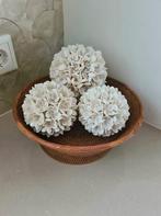 Schelpen decoratie bol 6 uit Bali, Ophalen of Verzenden, Tropical Home, 6951nk, Nieuw