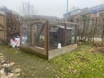 Kippenren met hok, Dieren en Toebehoren, Ophalen, Gebruikt, Hout, Overige typen