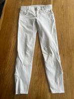 Wedstrijd rijbroek, Dieren en Toebehoren, Paardrijkleding, Ophalen of Verzenden, Gebruikt