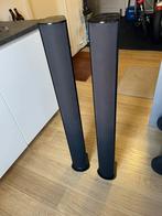 PIEGA Tmicro 5  luidspeakers (2 stuks), Audio, Tv en Foto, Luidsprekers, Zo goed als nieuw, 60 tot 120 watt, Front, Rear of Stereo speakers