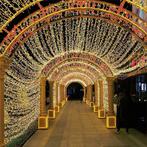 1000 LED Lichtsnoer 30m Lichtketting W/W Transformator Timer, Ophalen of Verzenden, Nieuw