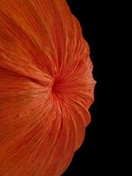 Geweldige vintage zijden Ayala Serfaty design wandlamp, Huis en Inrichting, Ophalen, Gebruikt, Metaal