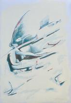 Zeefdruk Leo Musch - Ontketend, Antiek en Kunst, Kunst | Litho's en Zeefdrukken, Verzenden