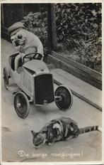 Hond met pet in speelgoedauto rijdt bijna kat aan. Humor, Verzamelen, Ansichtkaarten | Dieren, Verzenden, Voor 1920, Gelopen, Hond of Kat