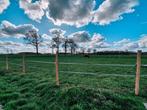 Gezocht huurweide/perceel/grond, Dieren en Toebehoren, Stalling en Weidegang, Weidegang
