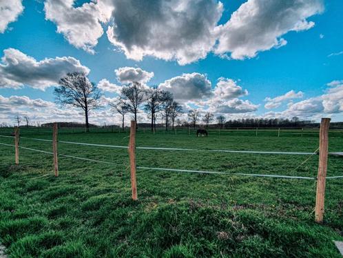 Gezocht huurweide/perceel/grond, Dieren en Toebehoren, Stalling en Weidegang, Stalling, Weidegang