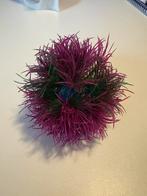 Biorb plant, Tuin en Terras, Ophalen of Verzenden, Volle zon