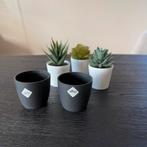 3 kunstplantjes + 2 Elho potjes kunst plantjes IKEA FEJKA, Ophalen of Verzenden, Zo goed als nieuw