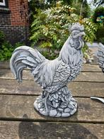 HAAN / 37 cm hoog / beton / OPRUIMING