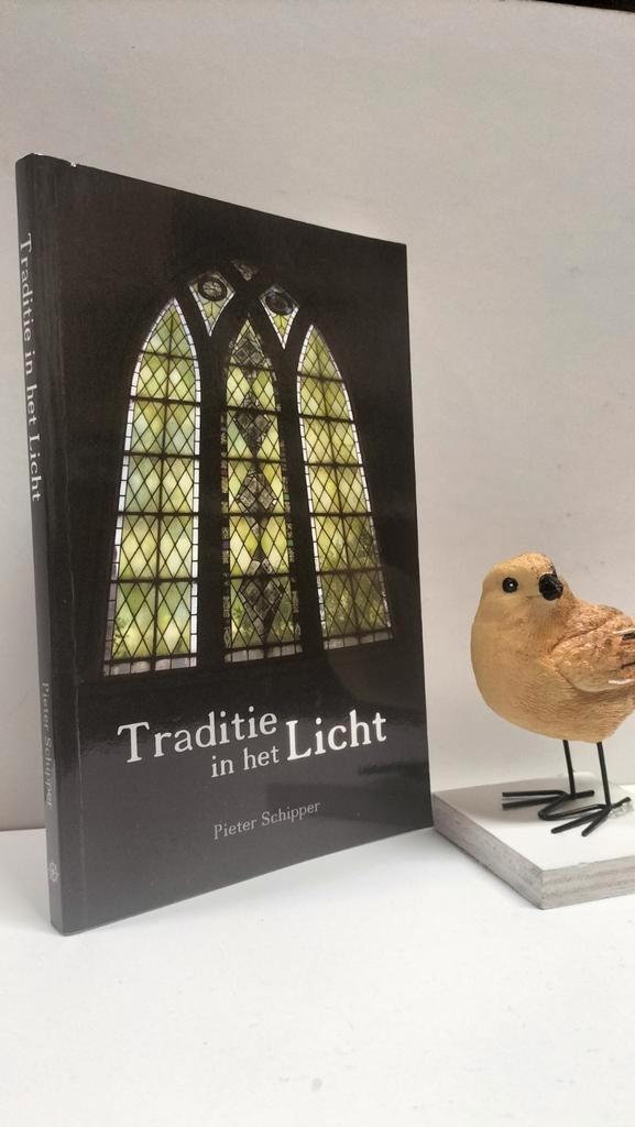 Schipper, Pieter; Traditie  in het Licht, Boeken, Godsdienst en Theologie, Gelezen, Christendom | Protestants, Ophalen of Verzenden