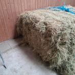 Hooi, Dieren en Toebehoren