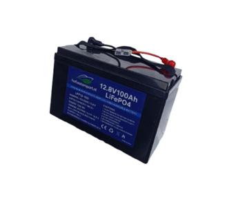 Nieuwe LiFePO4 (Lithium) 12V 100Ah Accu + 20A oplader beschikbaar voor biedingen