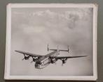 Avro York vliegtuig grote foto op karton / met knikje, Gebruikt, Verzenden, Kaart, Foto of Prent, X