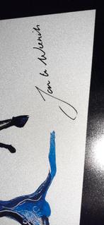 Twee schilderijen  van jan ter wierink te koop, Ophalen