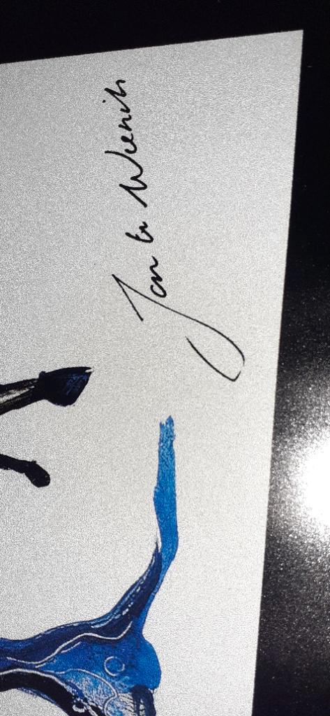 Twee schilderijen  van jan ter wierink te koop, Antiek en Kunst, Kunst | Schilderijen | Abstract, Ophalen