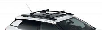 Dakdragers Citroen C4 Cactus te huur beschikbaar voor biedingen