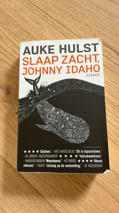 Auke Hulst - Slaap zacht, Johnny Idaho, Boeken, Literatuur, Zo goed als nieuw, Nederland, Ophalen of Verzenden