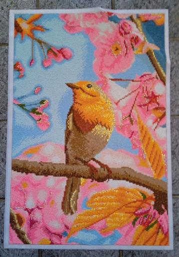 Roodborstje - 40 x 60 cm. - Diamond Painting beschikbaar voor biedingen